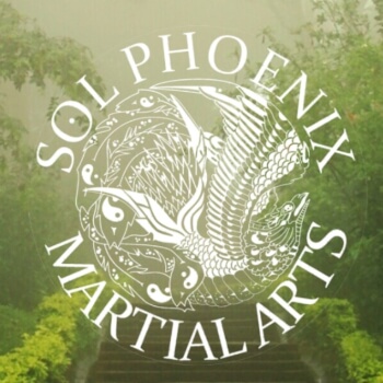 Sol Phoenix Martial Arts, body and soul and sports and games teacher